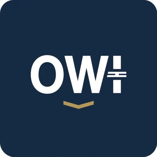 OWI Meaning 